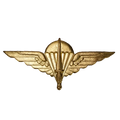 Belgian Para-Commando Brigade Badge - Belgian Army Surplus - Flags, Badges & Insignia