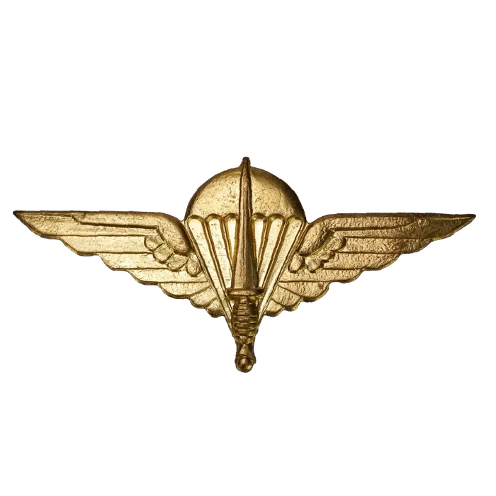 Belgian Para-Commando Brigade Badge - Belgian Army Surplus - Flags, Badges & Insignia