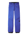 Boy's Hammer Snow Pants - Surf The Web Blue