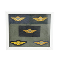 Danish Army Parachute Qualification Wings Display Board - Danish Surplus - Flags, Badges & Insignia