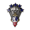 French 8th Marine Infantry Parachute Regiment, High-Altitude Operational Jump Badge - French Army Surplus - Flags, Badges & Insignia