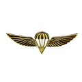 Israel Defense Forces (IDF) Gold Parachutist Badge - Israeli Army Surplus - Flags, Badges & Insignia