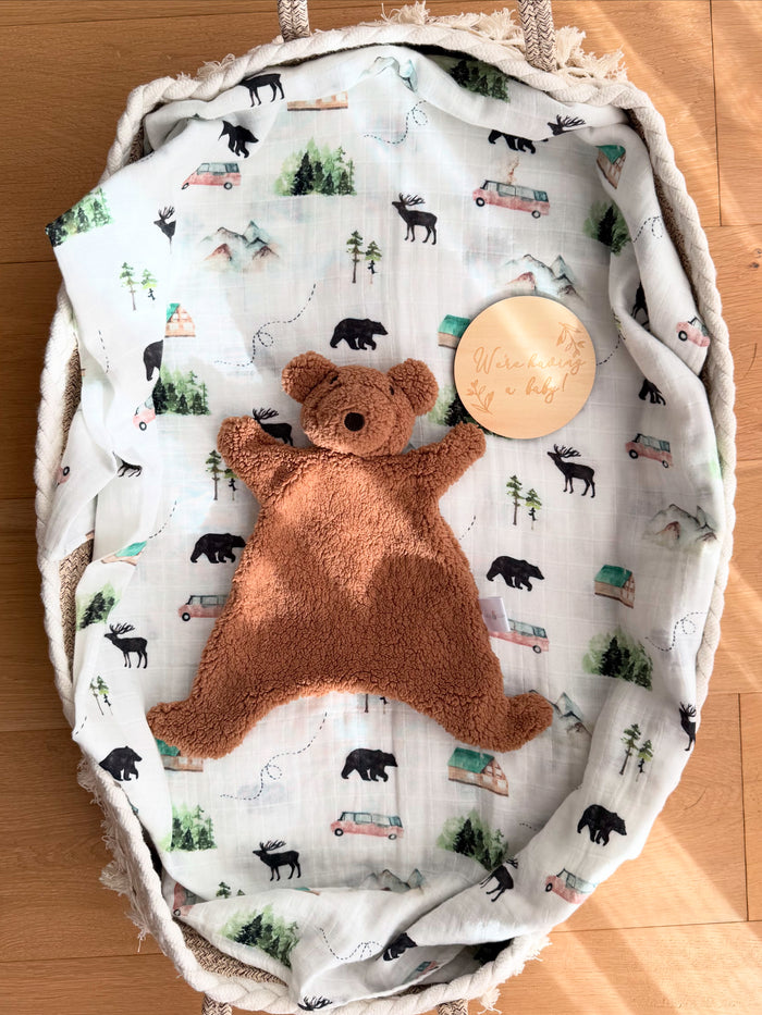 Pregnancy announcement. Soft fleece teddy baby comfort toy with organic swaddle in Alaska print.
