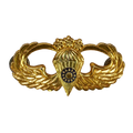Republic of China (Taiwan) Army Airborne Master Parachutist Badge - Army & Outdoors - Flags, Badges & Insignia