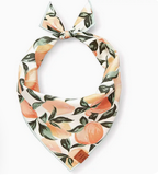 The Foggy Dog Bandana