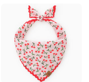 The Foggy Dog Bandana